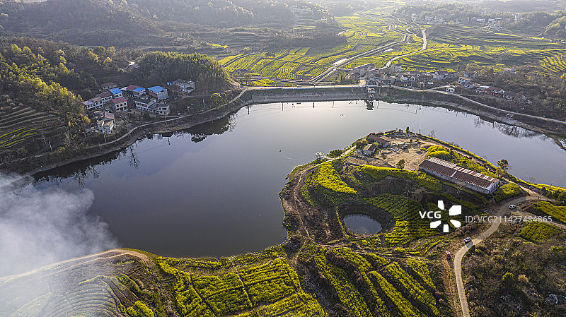 湖北黄冈浠水县城山村梯田油菜花航拍图片素材