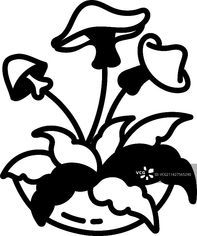 蘑菇植物图片素材