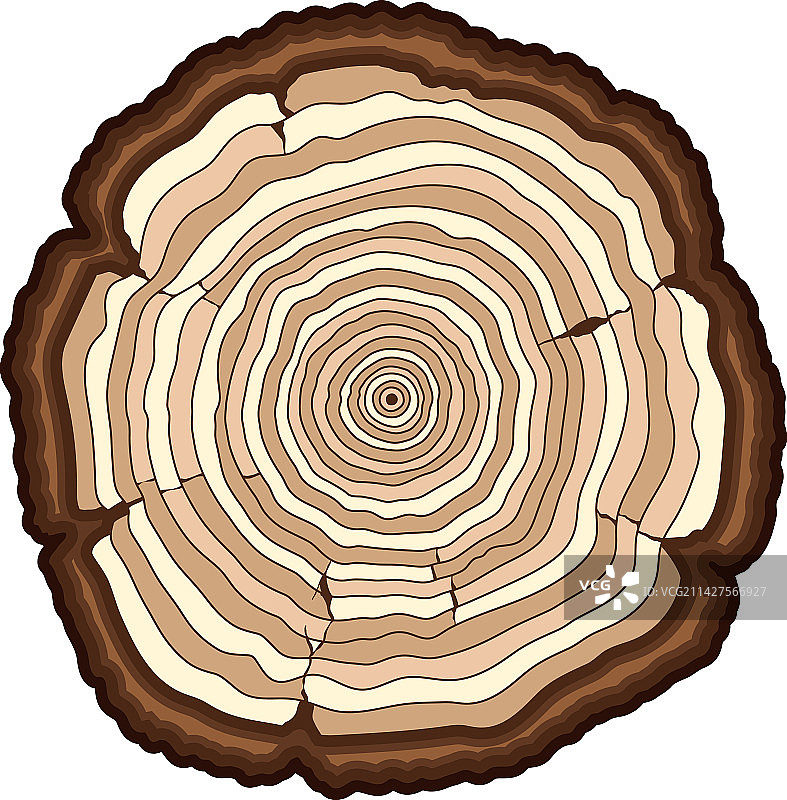 树木年轮木材锯切彩色图标图片素材