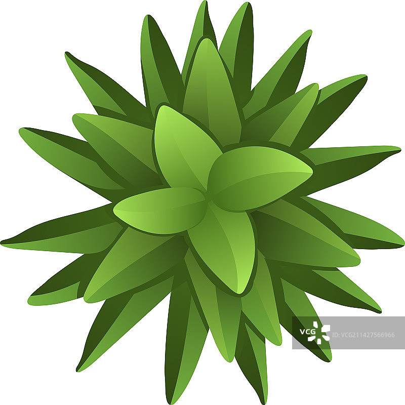 俯视绿色棕榈树景观图片素材