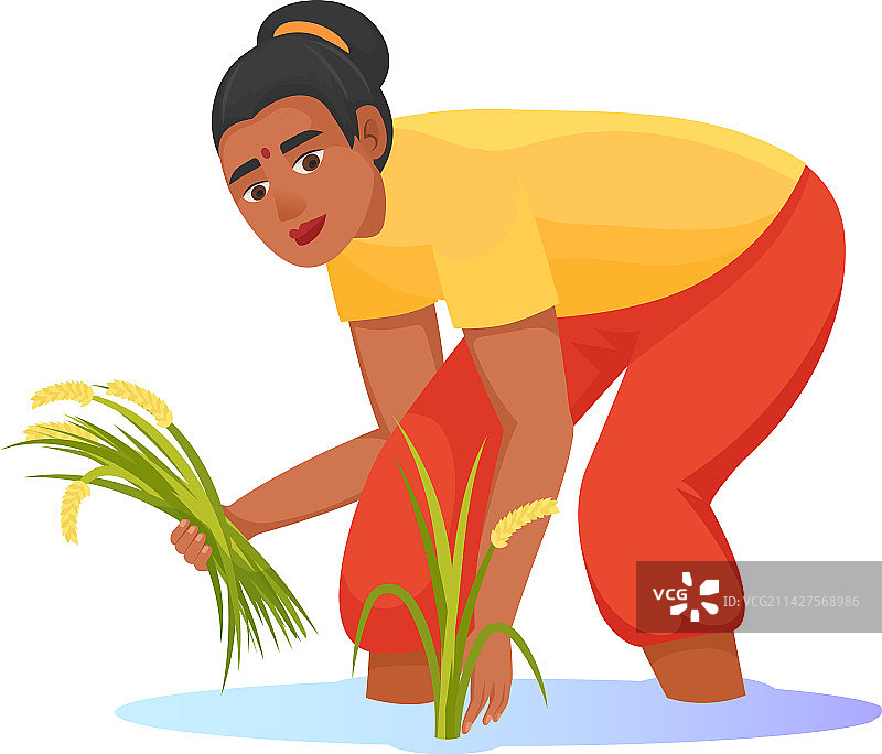 卡通亚洲女性稻田收割场景图片素材