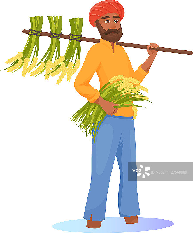 印度男子收获稻米传统亚洲图片素材