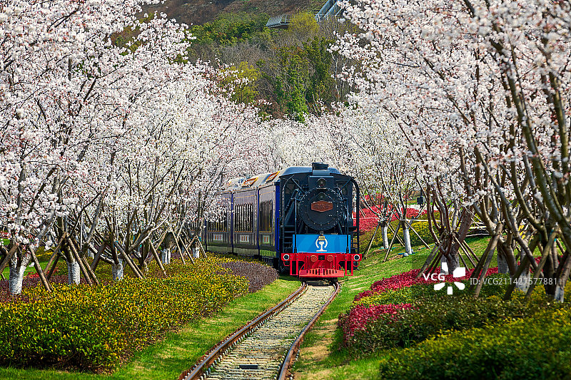 南京江苏园博园-开往春天的小火车（5）图片素材