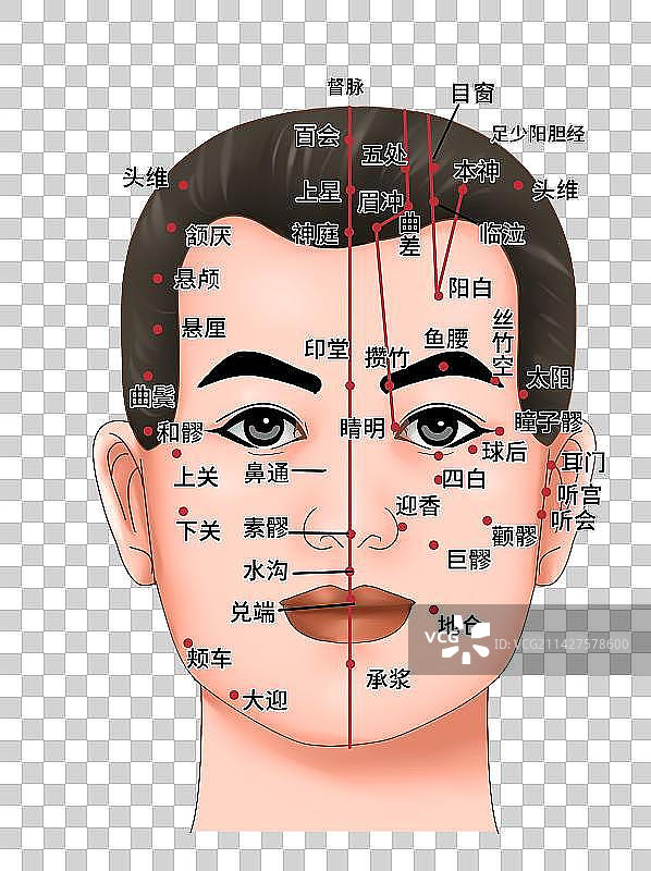 人体医疗穴位插图面目穴位图片素材