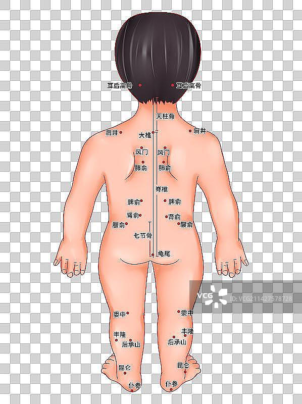 人体医疗穴位插图人体图片素材