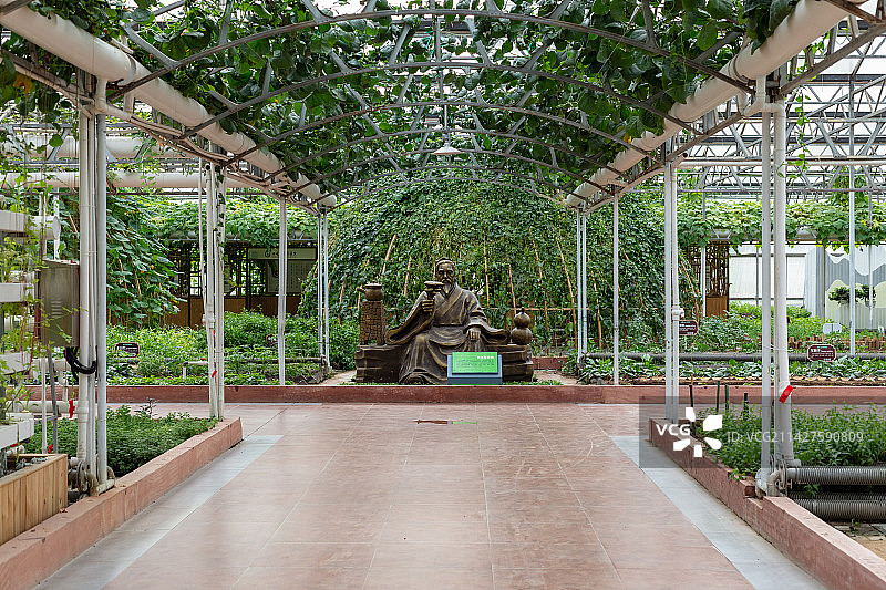 中国山东潍坊寿光菜博会6号馆药王孙思邈雕塑图片素材