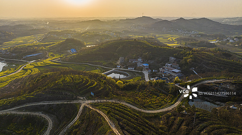 湖北黄冈浠水县城山村梯田油菜花航拍图片素材