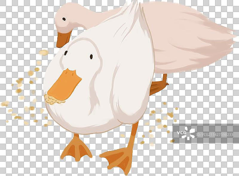 两只鸭子正面低头吃东西手绘免抠素材图片素材