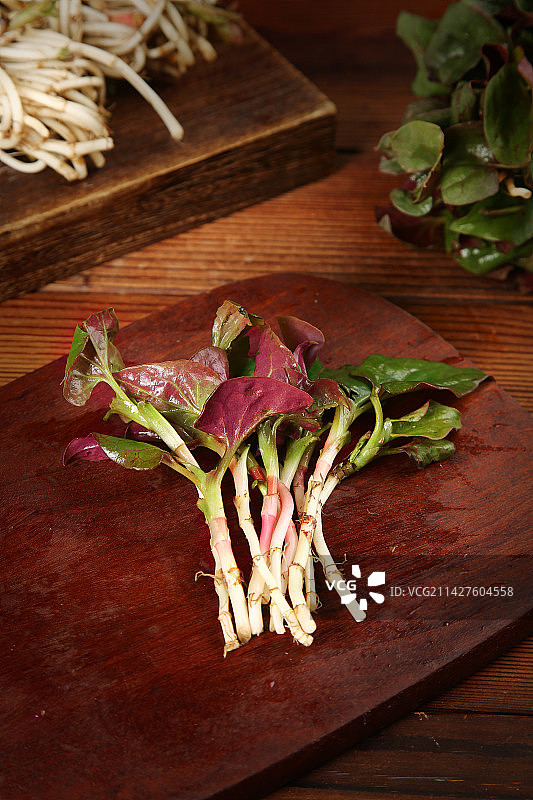 木底上放着折耳根图片素材