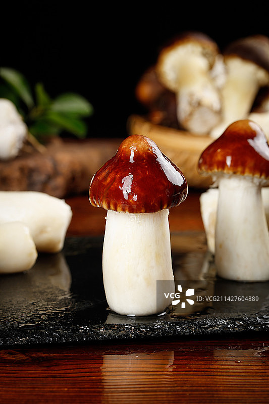 黑底上放着赤茸菇图片素材