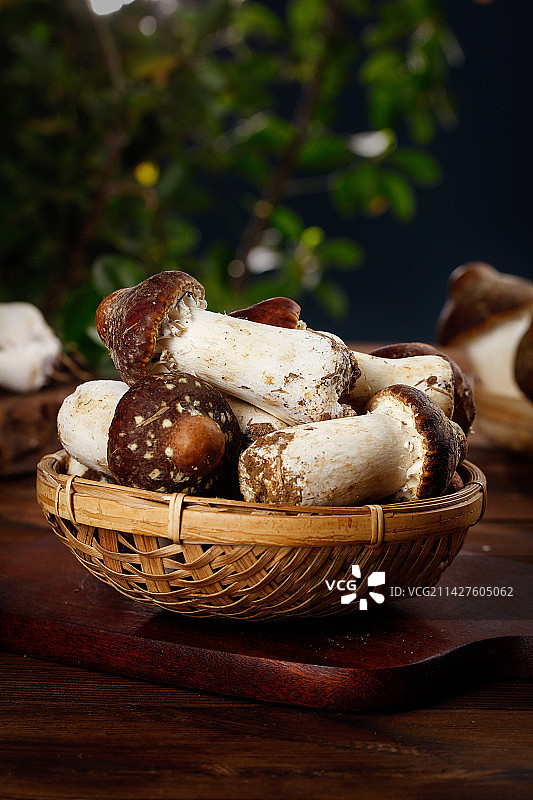 一篮新鲜松茸菇图片素材