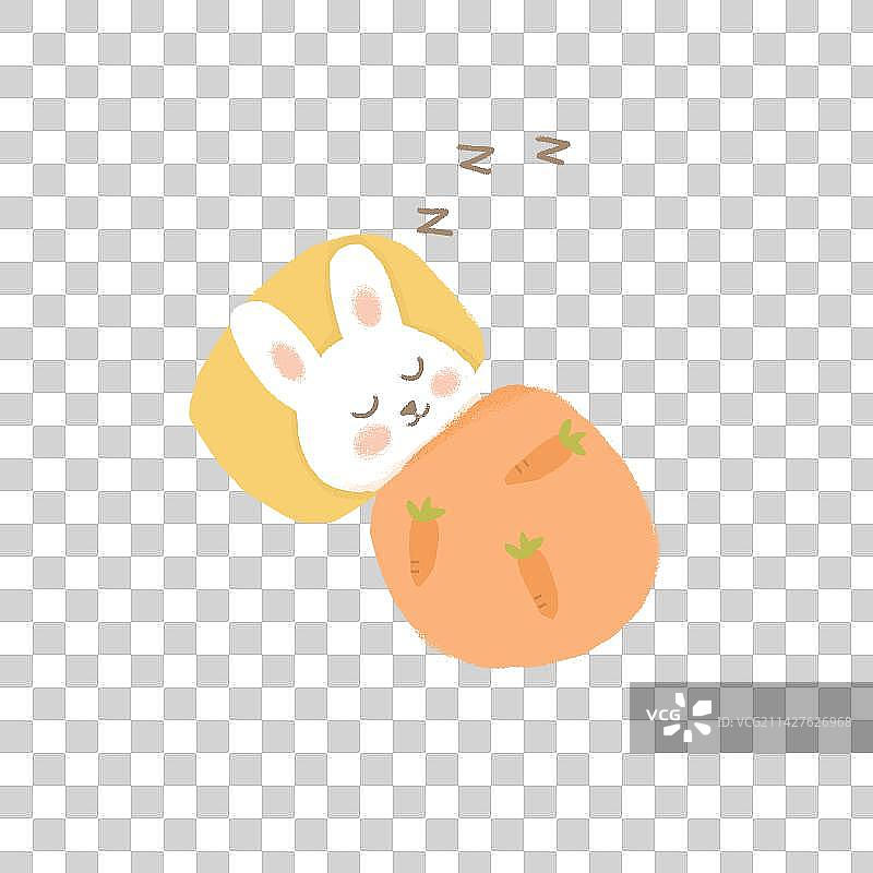 兔子、睡觉图片素材