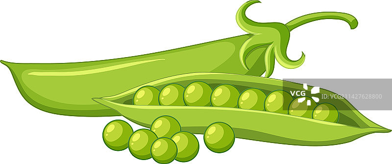 豆荚里的绿色豌豆图片素材