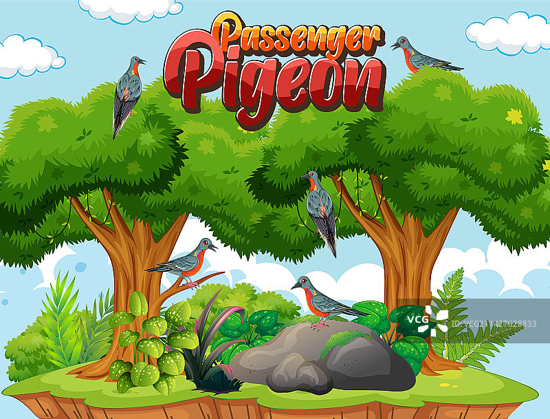 已灭绝的旅鸽鸟类图片素材
