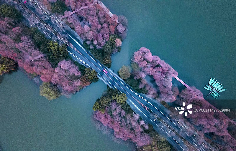 杨公堤图片素材