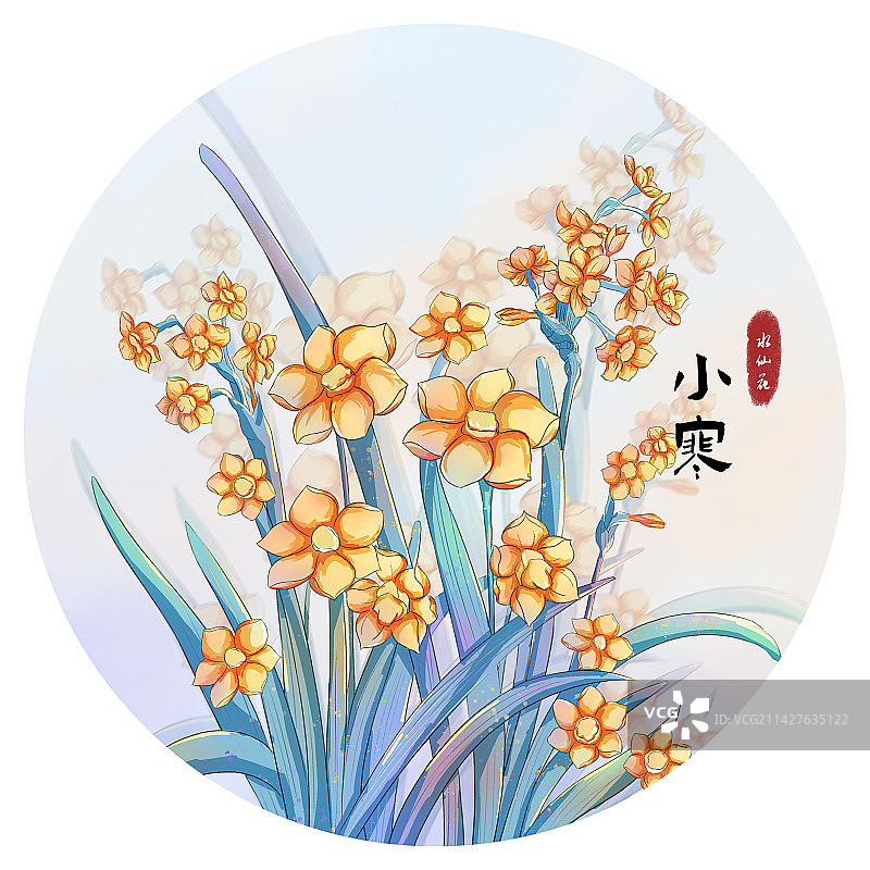 小寒节气盛开的水仙花插画海报图片素材