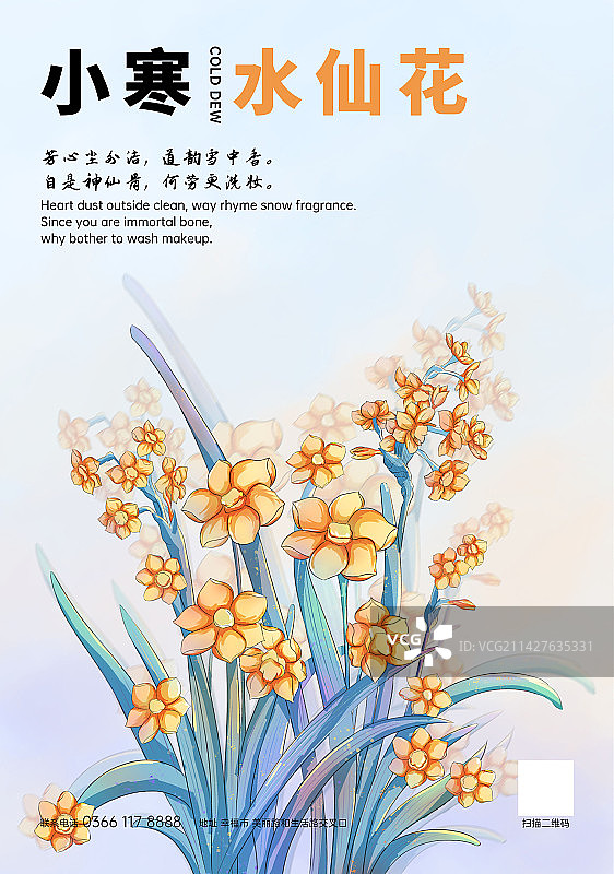 小清新风格小寒节气盛开的水仙花植物户外海报图片素材