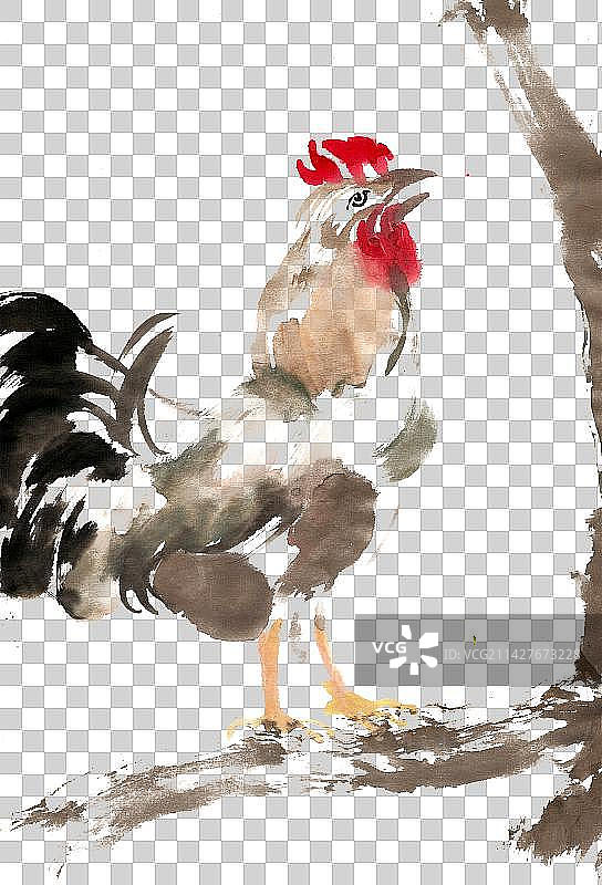 树枝上的公鸡图片素材