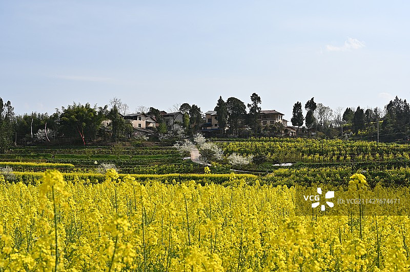 达州宣汉春天最美乡村图片素材