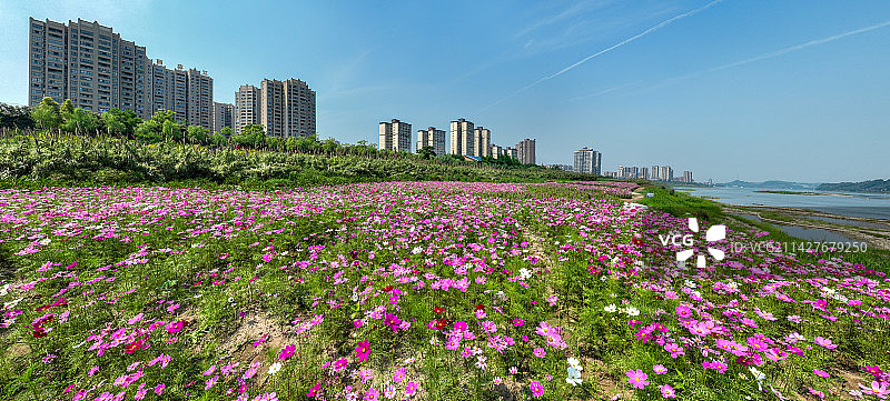 花漫城郭——宜宾市南溪区城市风光图片素材