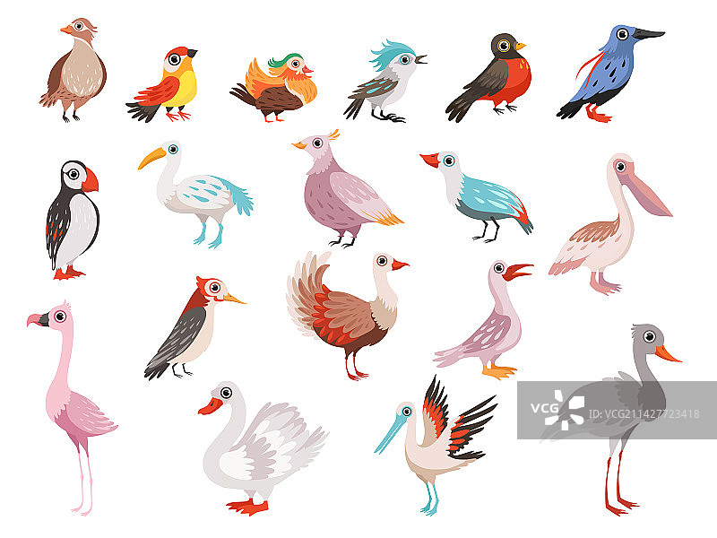 不同麻雀的侧面图图片素材