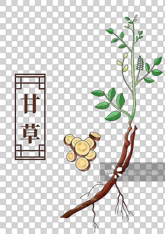 甘草中药材药材插画元素图片素材