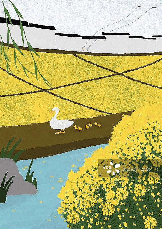 油菜花田小清新扁平插画图片素材