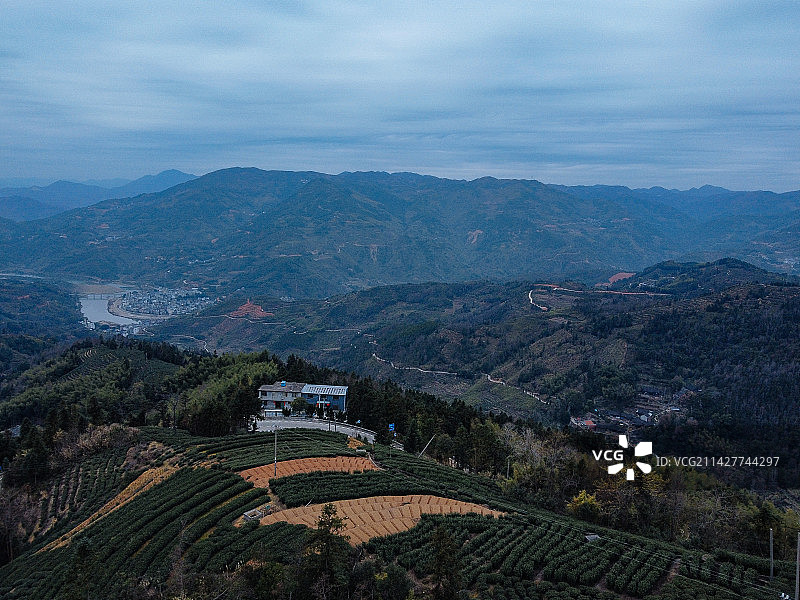 茶园 梯田 卓笔峰 叠石山 下拓坑村 春坪顶 福建 宁德图片素材