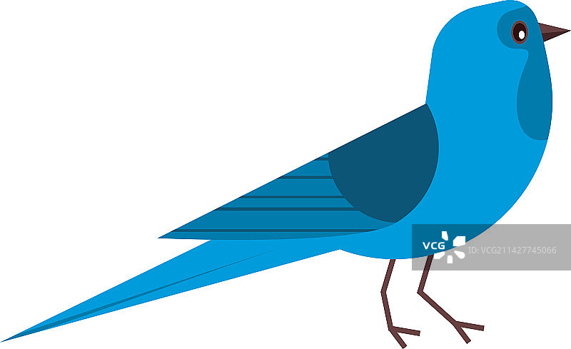 蓝色小鸟图片素材