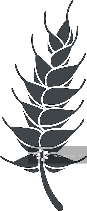 大麦穗剪影风格图片素材