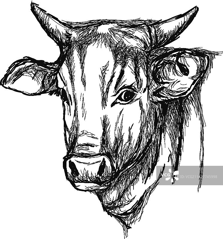 奶牛农场动物头部图片素材