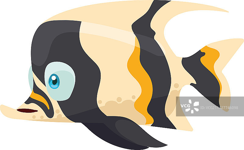 装饰性莫氏偶鳍鱼图片素材