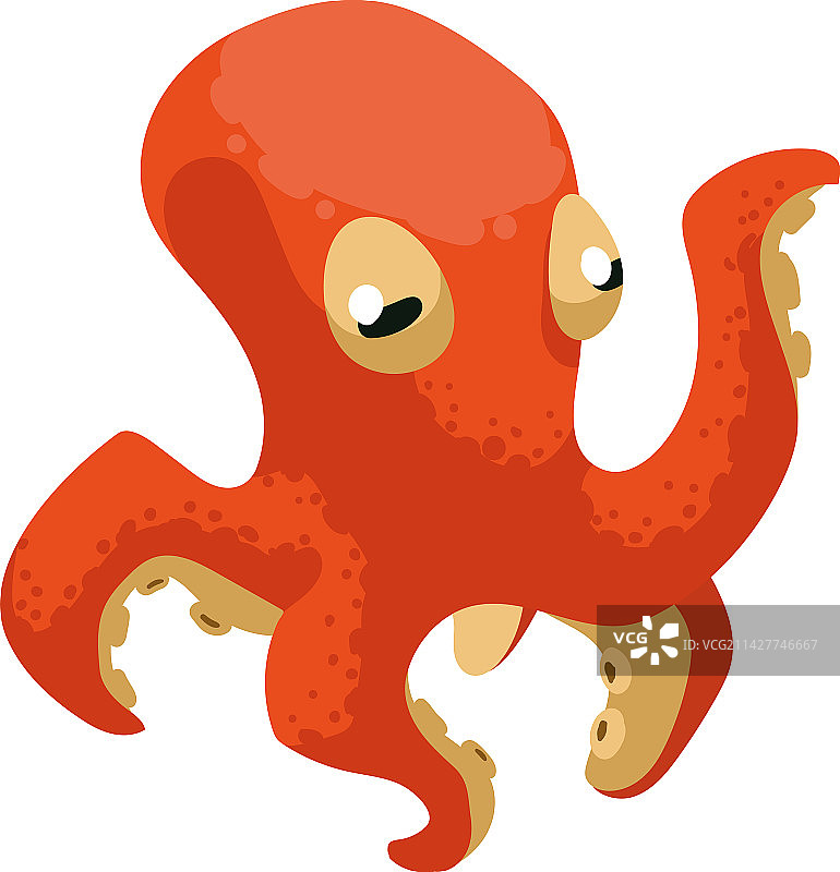 橙色章鱼海洋生物图片素材