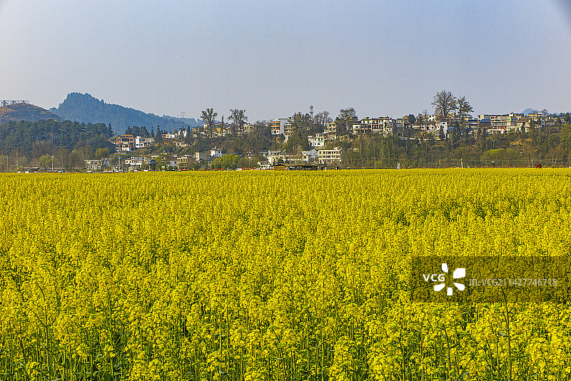中国贵州省黔南州贵定县盘江镇金海雪山风景区2023年3月10日图片素材