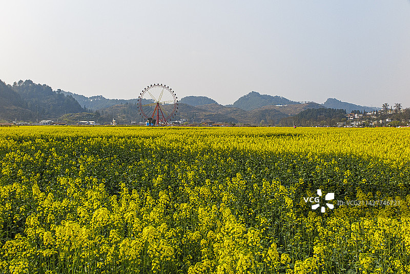 中国贵州省黔南州贵定县盘江镇金海雪山风景区2023年3月10日图片素材