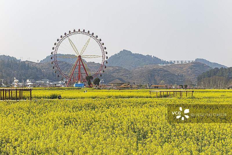 中国贵州省黔南州贵定县盘江镇金海雪山风景区2023年3月10日图片素材