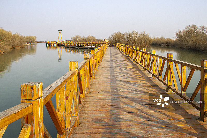 山东东营黄河三角洲湿地生态环境木栈道图片素材