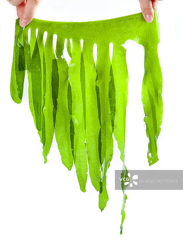 白底上的裙带菜图片素材