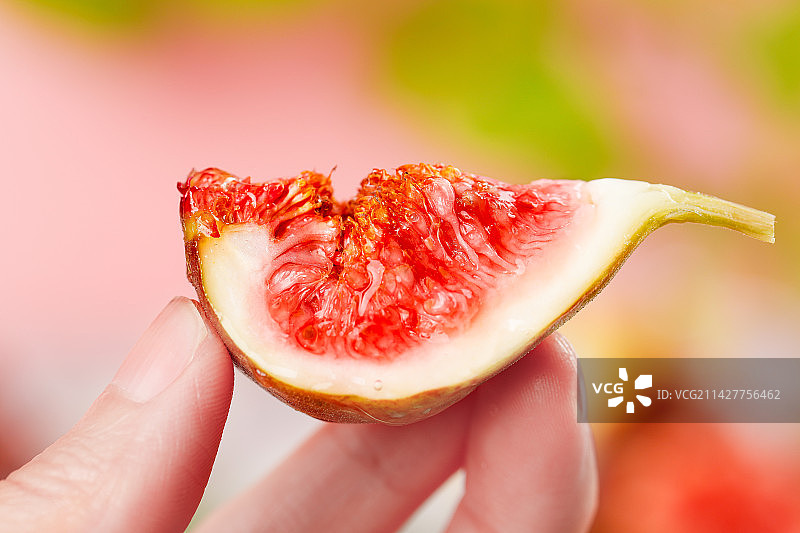 浅底上的新鲜无花果图片素材