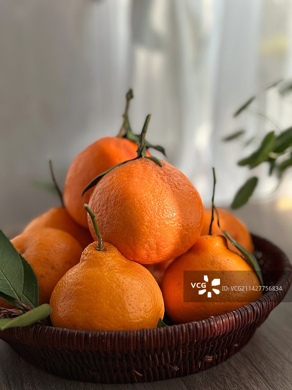 粑粑柑橘子图片素材