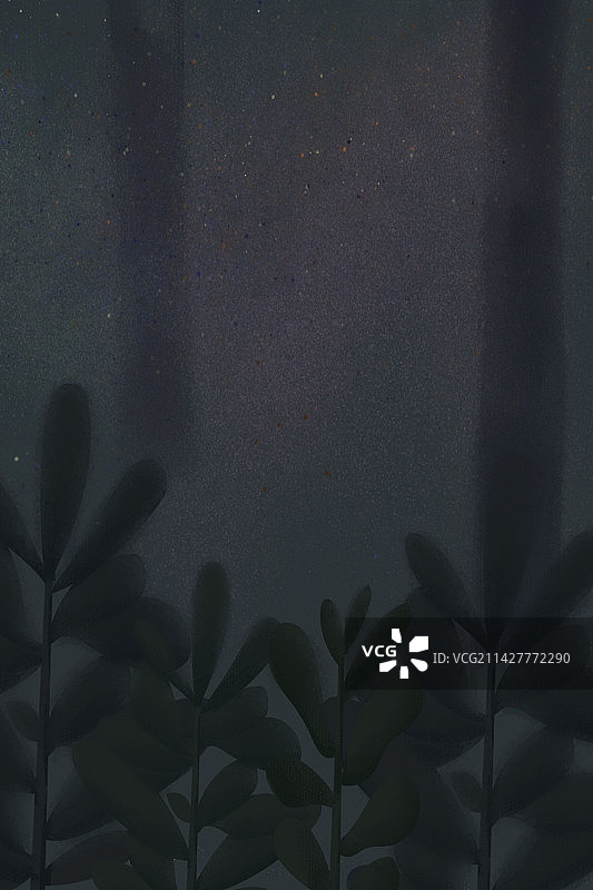 森林夜晚背景图片素材