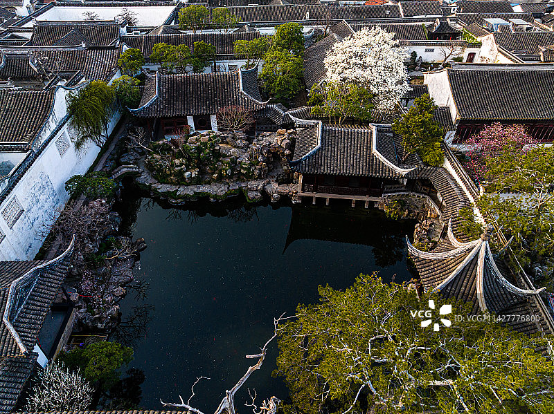 苏州园林，网师园航拍，春天玉兰花开图片素材