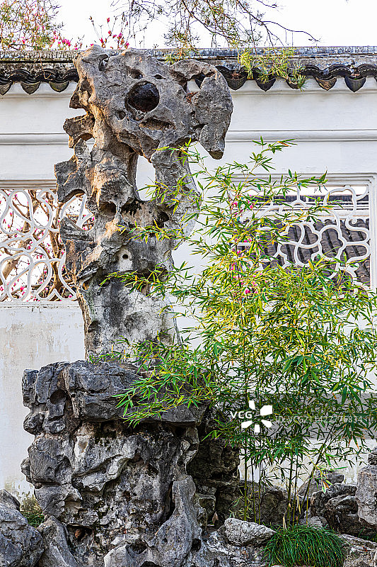 苏州园林，网师园，春季风光图片素材