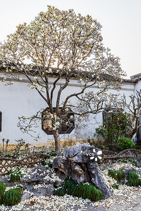 苏州园林，网师园，春季风光图片素材