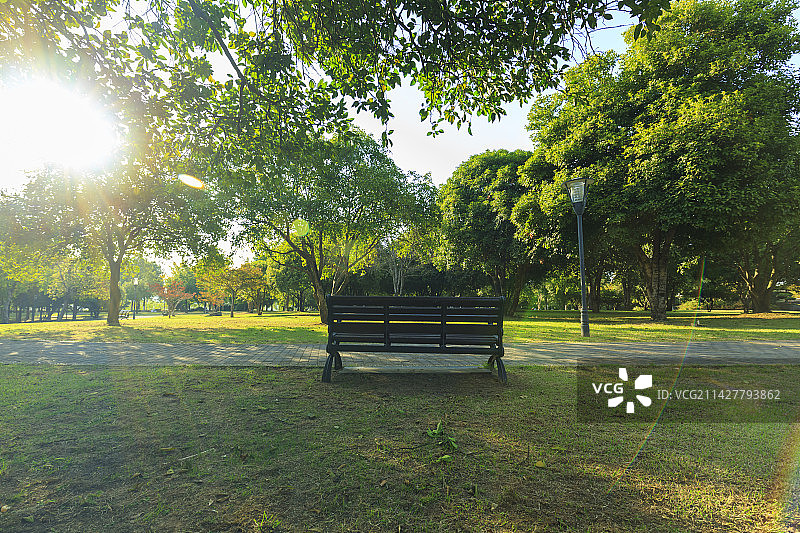 阳光明媚的公园图片素材