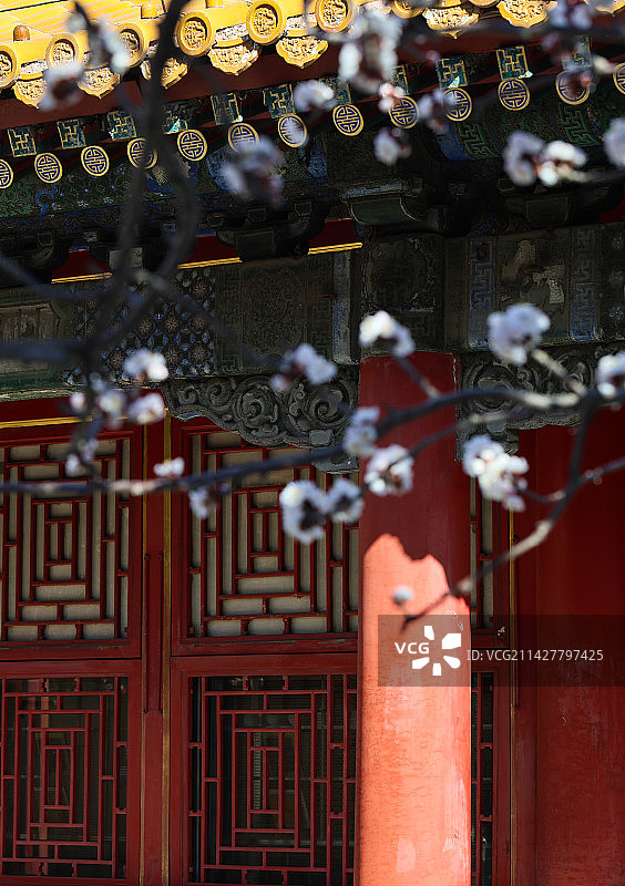 北京故宫春分季节风光图片素材