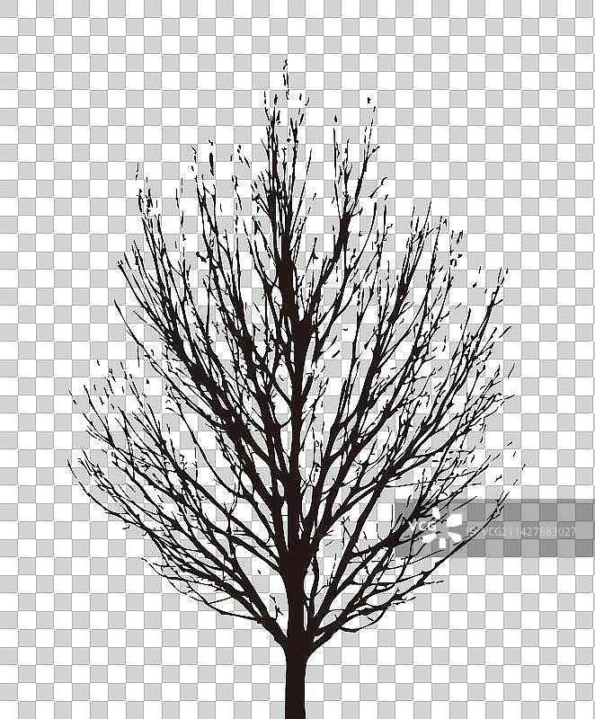 冬天的树剪影素材图片素材