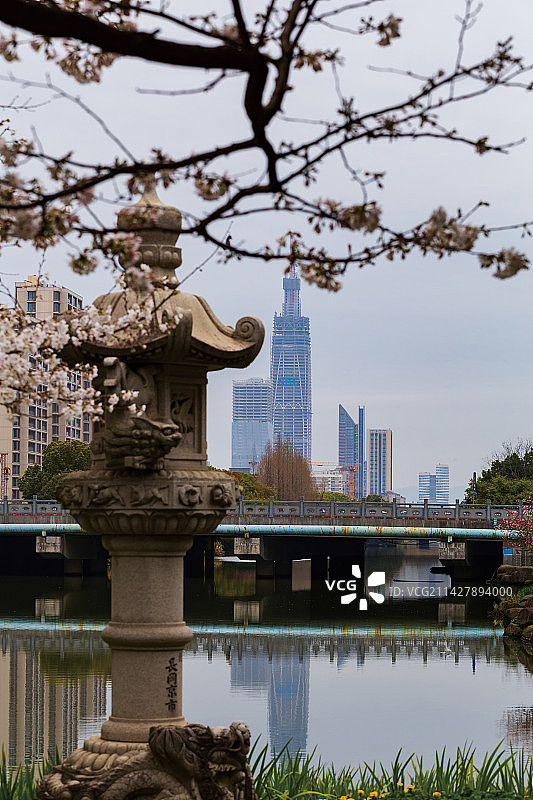从樱花公园拍宁波中心大厦图片素材