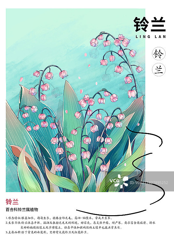 立夏节气铃兰插画设计海报图片素材