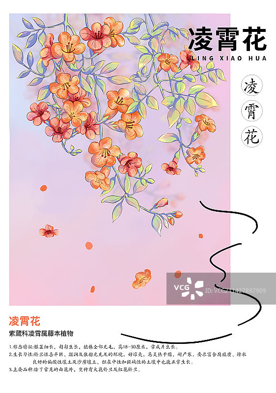 凌霄花插画传统节日海报图片素材
